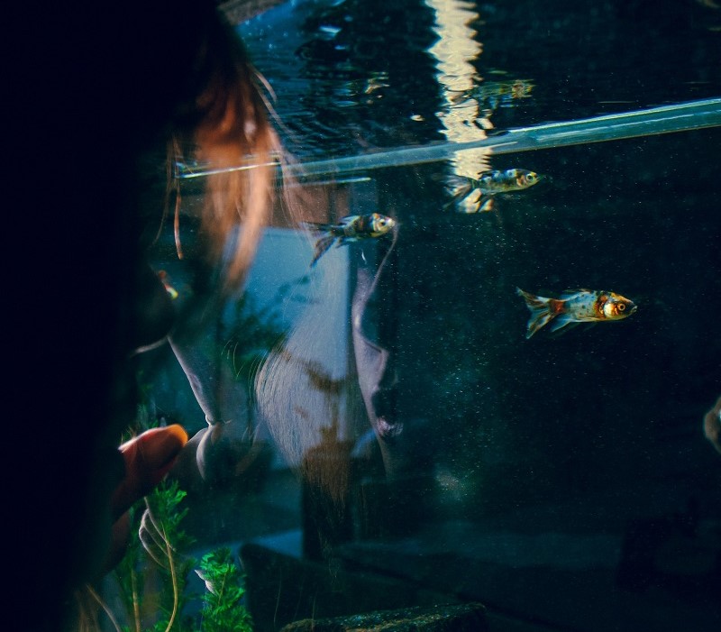 Les 6 meilleurs filtres externes pour aquarium en 2023 - Parlons Poissons