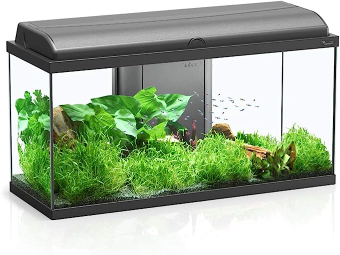 Tetra Aquarium Complet Starter Line 54 L avec Éclairage LED Jour